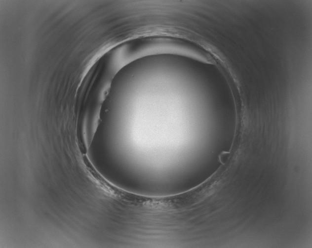 X0000078311089200611031232