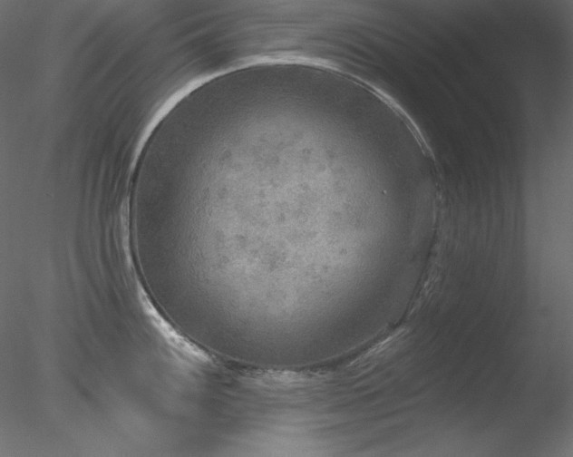 X0000078311100200611031232