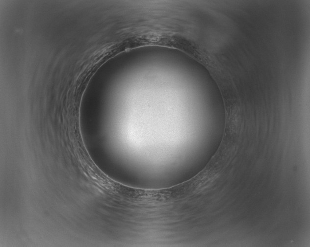 X0000078311105200611031231
