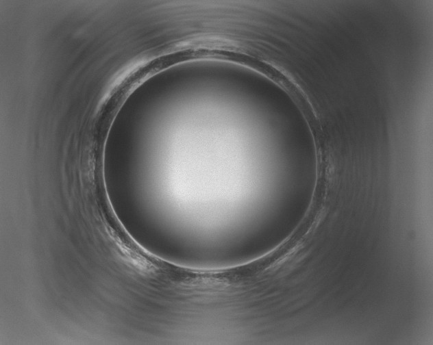 X0000078311115200611031231