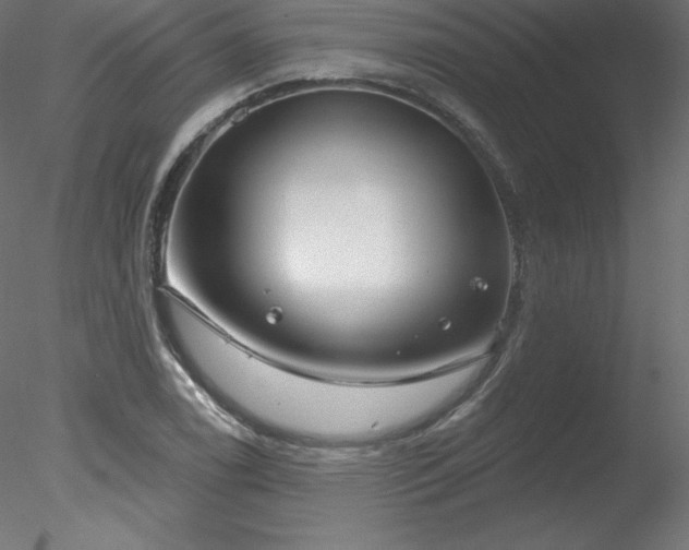 X0000078311122200611031231