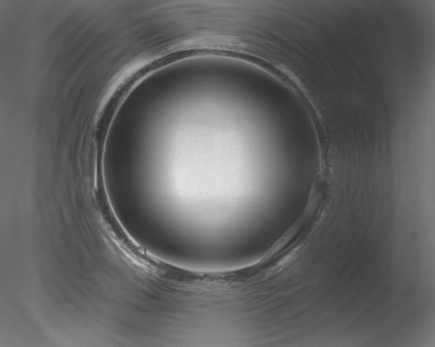 X0000078311123200611031231