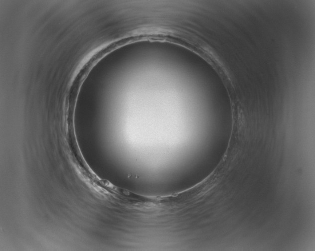 X0000078311124200611031232