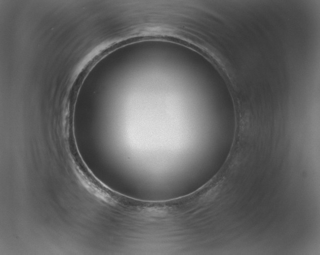 X0000078311126200611031232