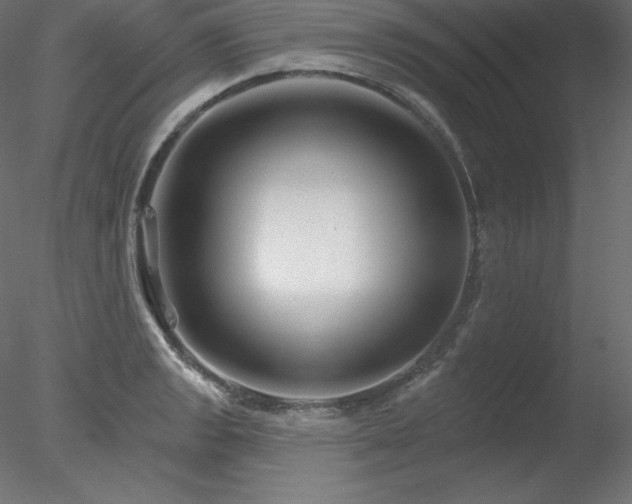 X0000078311133200611031232