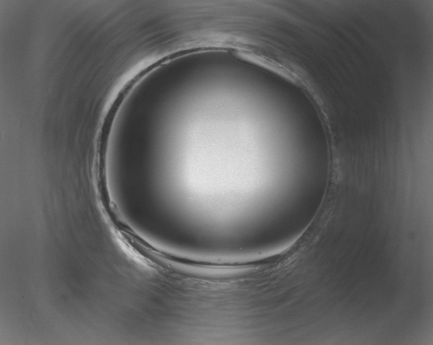X0000078311136200611031232