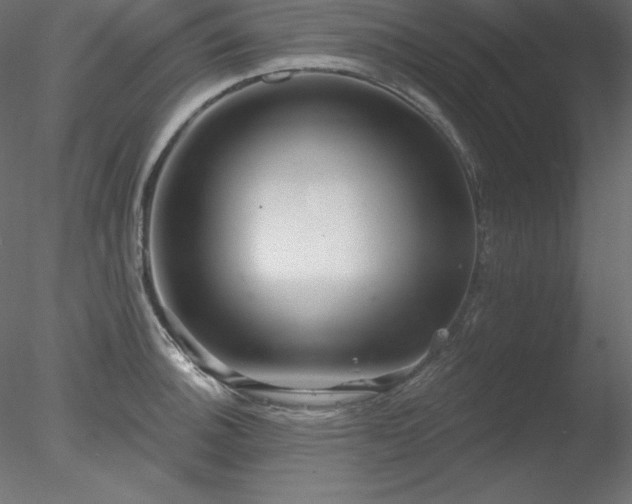 X0000078311140200611031232