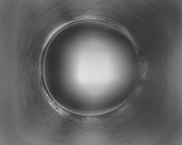 X0000078311148200611031232
