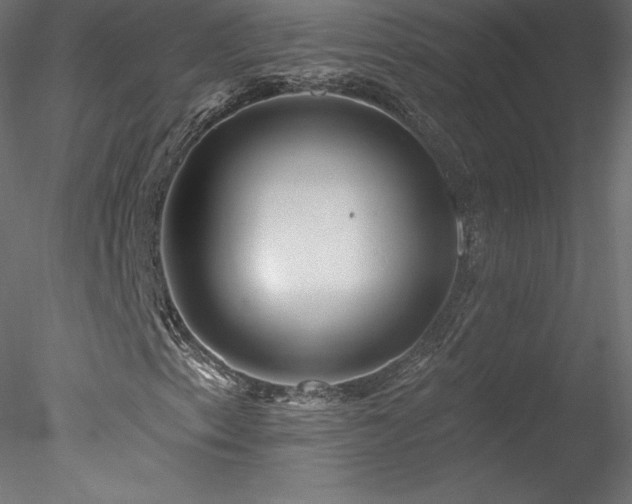X0000078311153200611031231