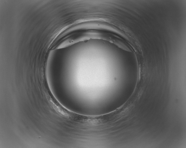 X0000078311177200611031231