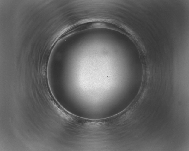 X0000078311185200611031231