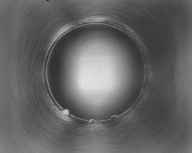 X0000078311186200611031231