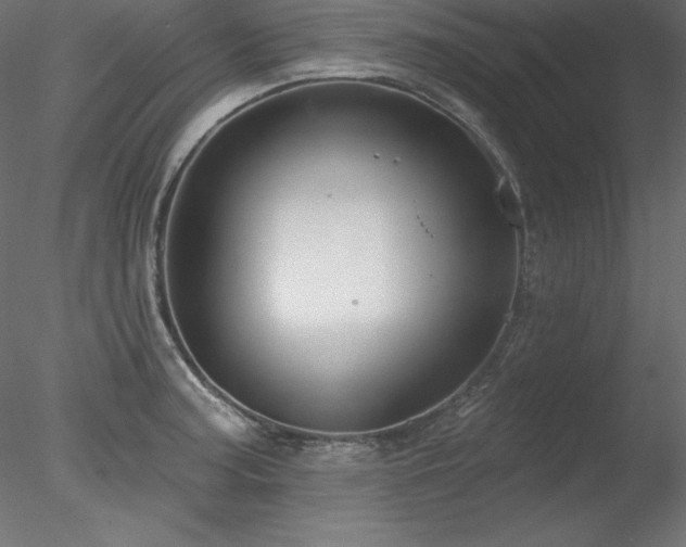 X0000078311187200611031231