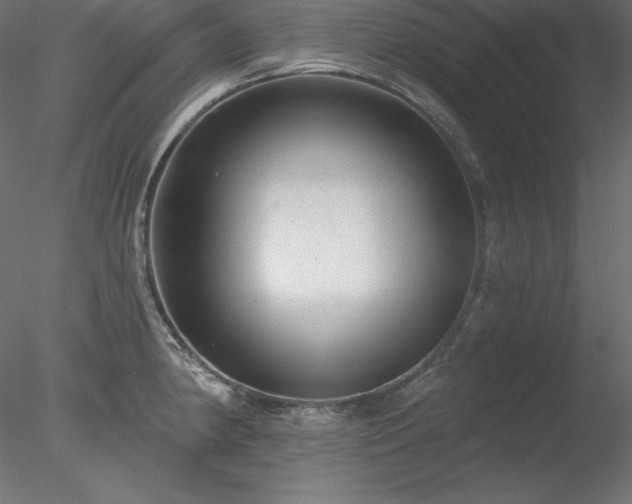 X0000078311190200611031231