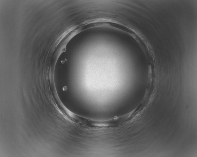 X0000078311193200611031230