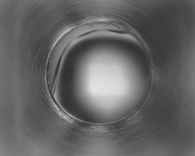 X0000078311194200611031230