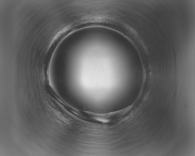 X0000078311218200611031230