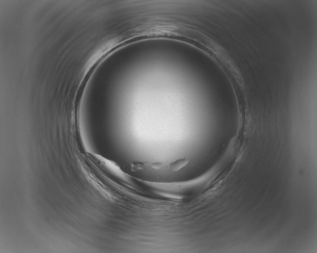 X0000078311234200611031230