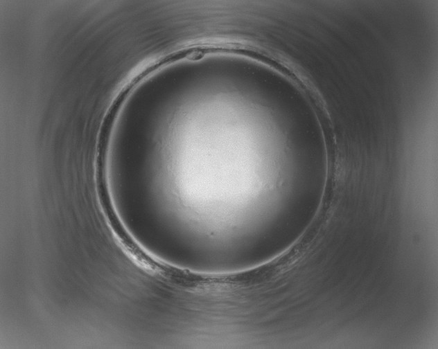 X0000078311237200611031230