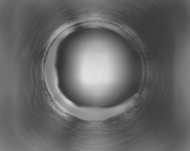 X0000078311238200611031230