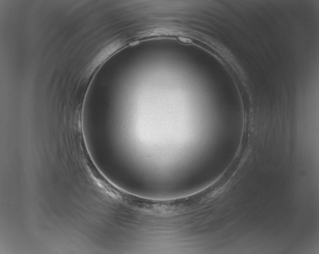 X0000078311241200611031230