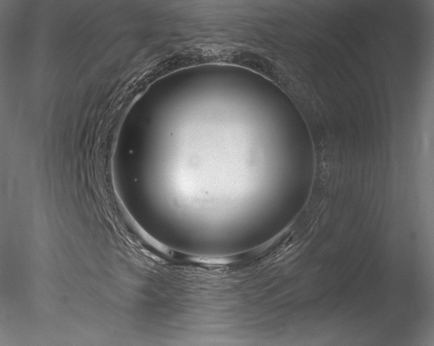 X0000078311249200611031230
