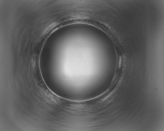 X0000078311257200611031229