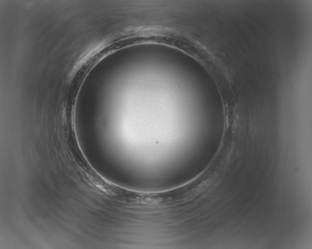 X0000078311261200611031229