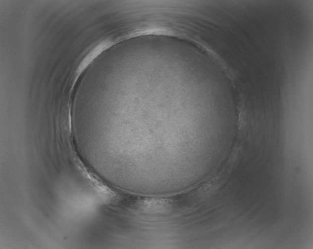 X0000078311274200611031229