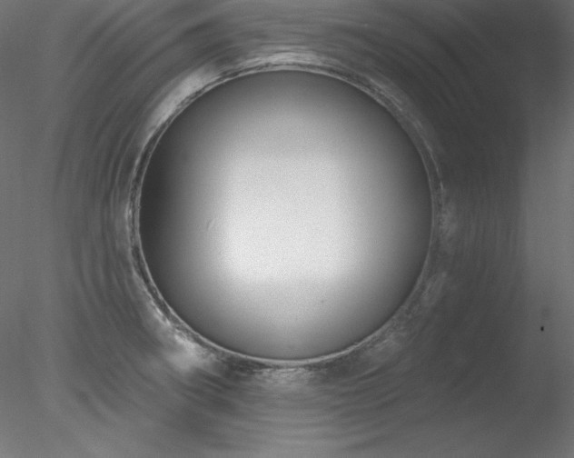 X0000078311282200611031229