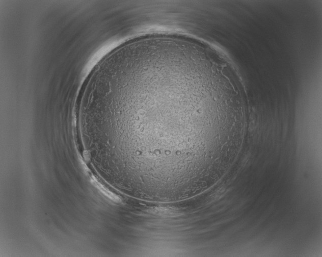 X0000078311287200611031229
