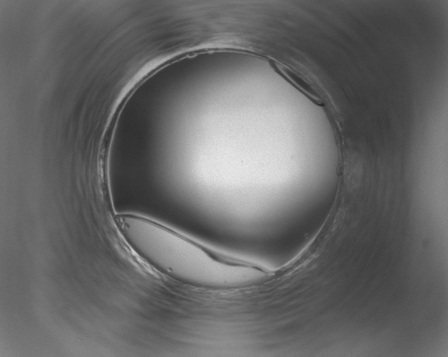 X0000078311292200611031229