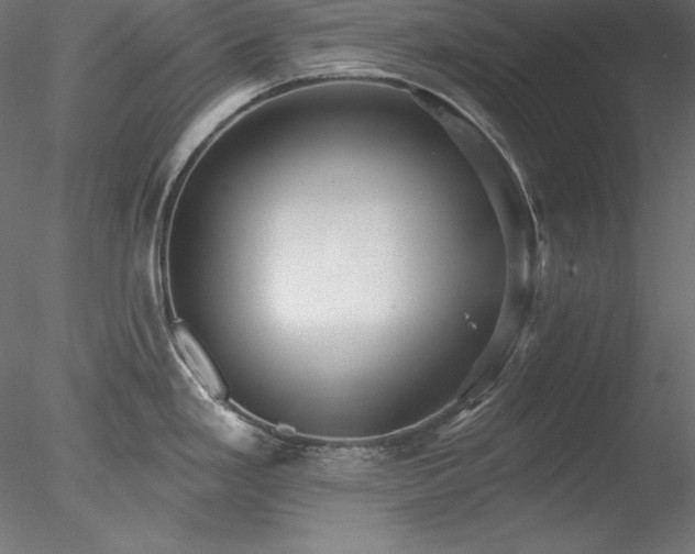 X0000078311293200611031229