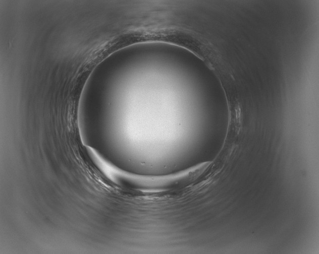 X0000078311300200611031228