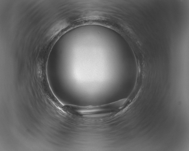X0000078311305200611031228