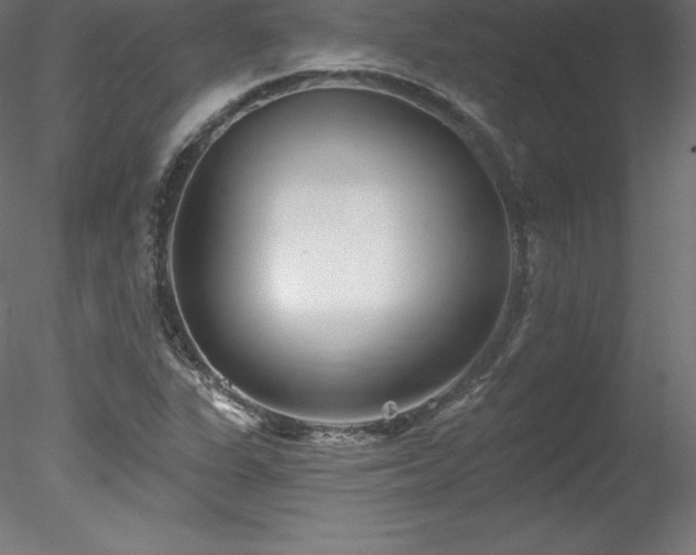 X0000078311311200611031228