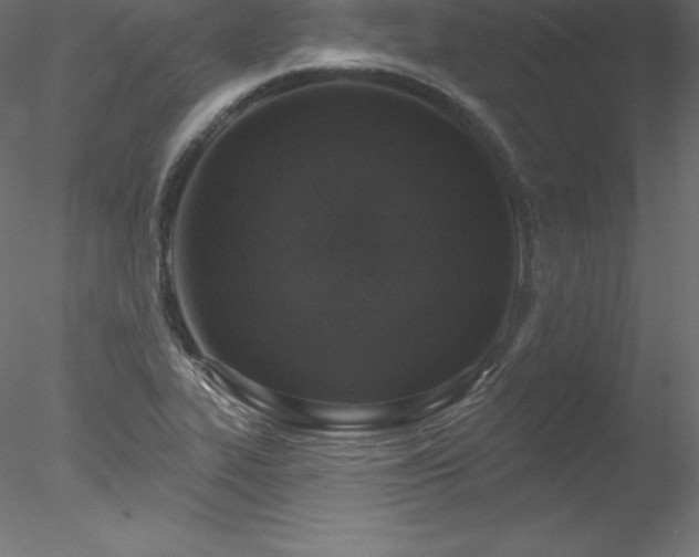 X0000078311319200611031228