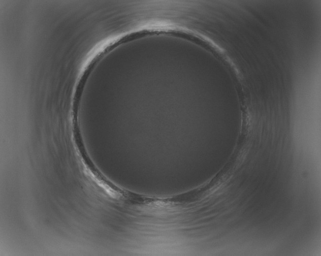 X0000078311327200611031228