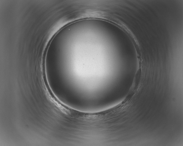 X0000078311339200611031229