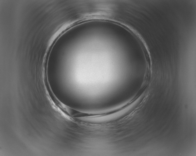 X0000078311341200611031229