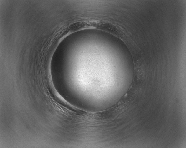 X0000078311345200611031228