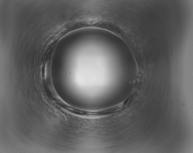 X0000078311349200611031228