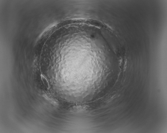 X0000078311351200611031228