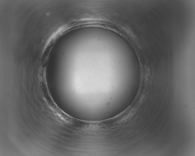 X0000078311357200611031228