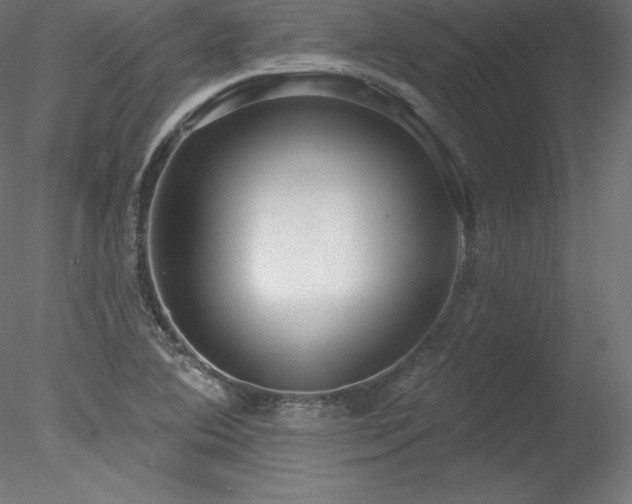 X0000078311364200611031228