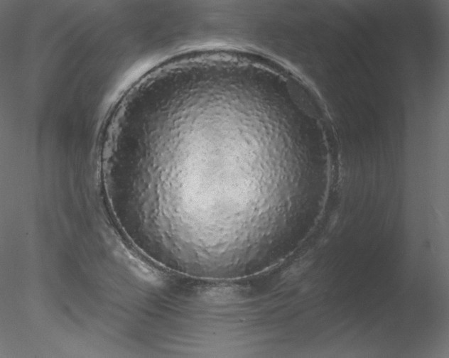X0000078311367200611031228