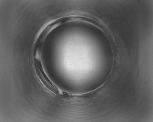 X0000078311368200611031228