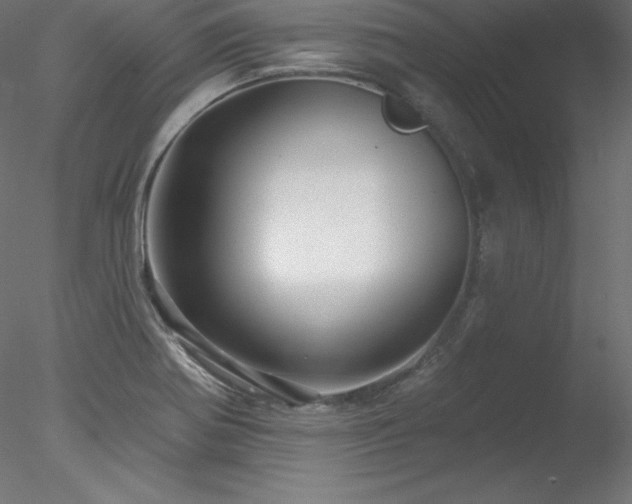 X0000078311370200611031227