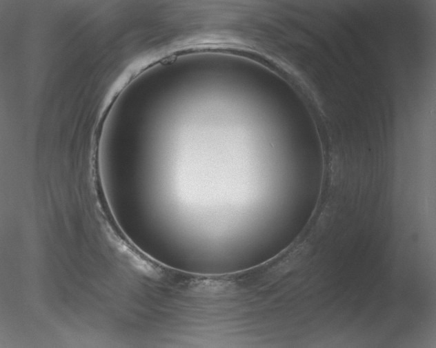X0000078311374200611031227