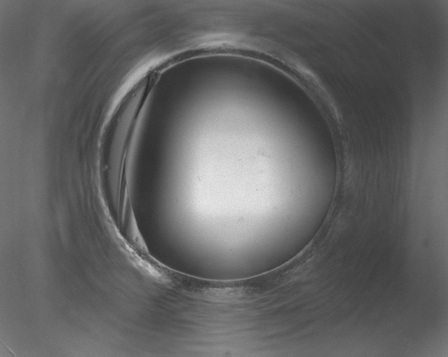 X0000078311376200611031227